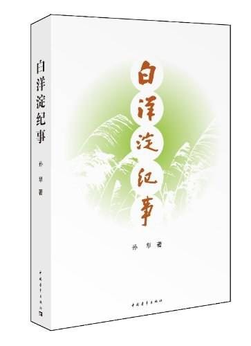 白洋淀纪事（2010年江苏文艺出版社出版的图书）