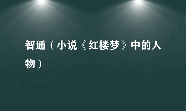 智通（小说《红楼梦》中的人物）