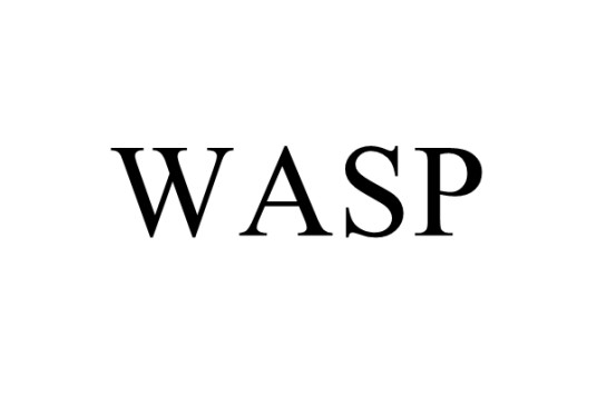 WASP(美国白人新教徒)