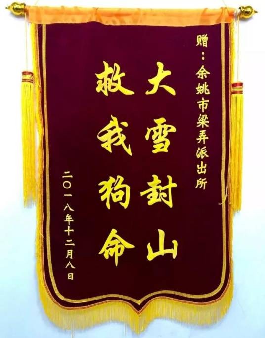 大雪封山,救我狗命