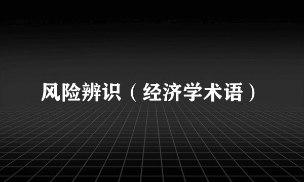 风险辨识（经济学术语）