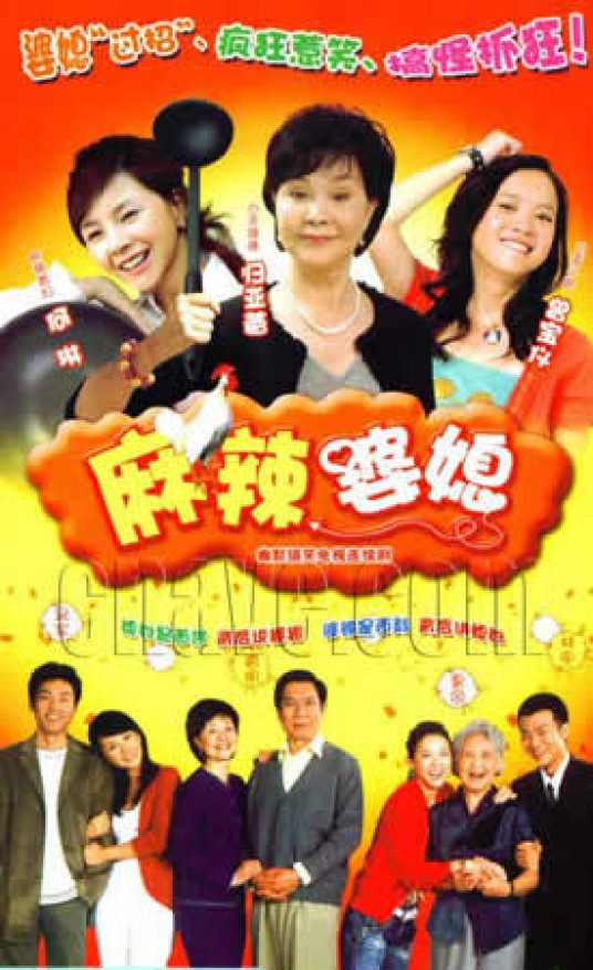 麻辣婆媳（电视剧）