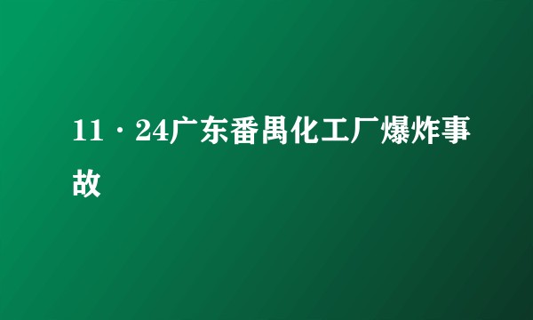 11·24广东番禺化工厂爆炸事故