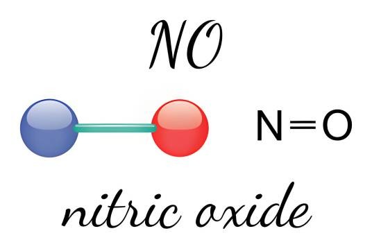 NO（一氧化氮）