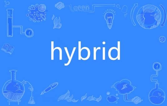 Hybrid（英语单词）