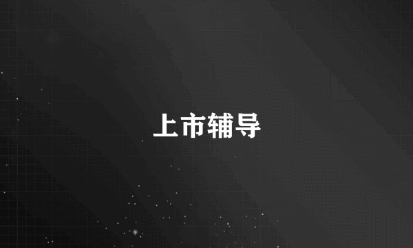 上市辅导