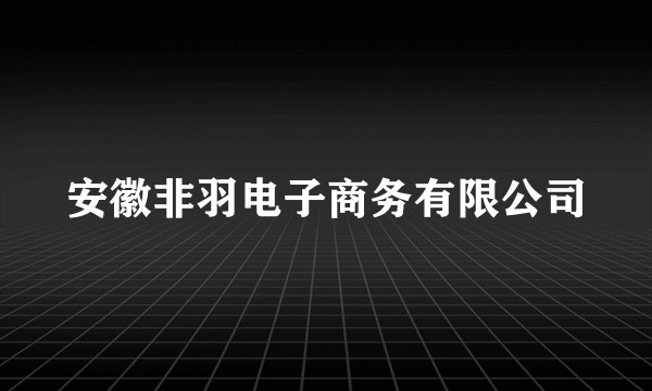 安徽非羽电子商务有限公司