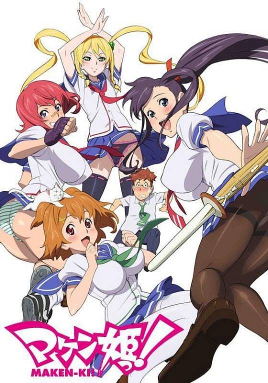 魔剑姬！（AIC Spirits制作的电视动画）