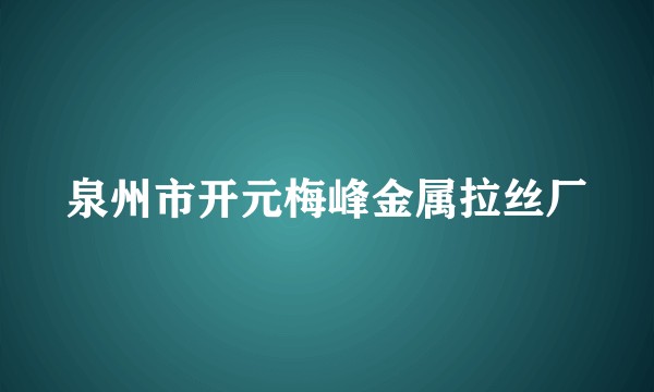 泉州市开元梅峰金属拉丝厂