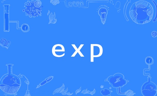 exp（操作系统命令行工具）