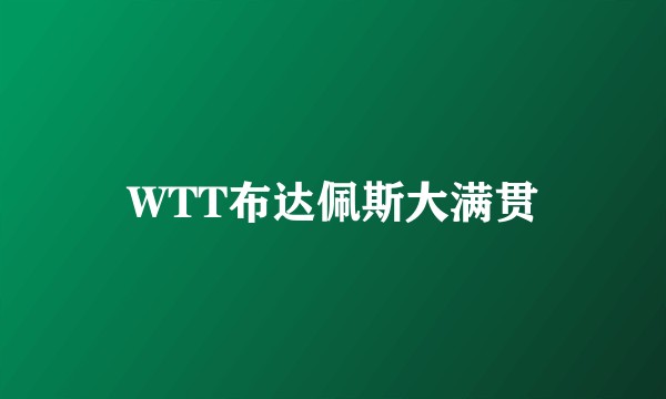 WTT布达佩斯大满贯