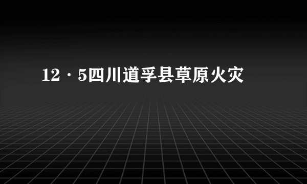 12·5四川道孚县草原火灾