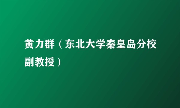 黄力群(东北大学秦皇岛分校副教授)