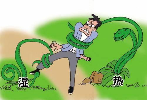 湿热症