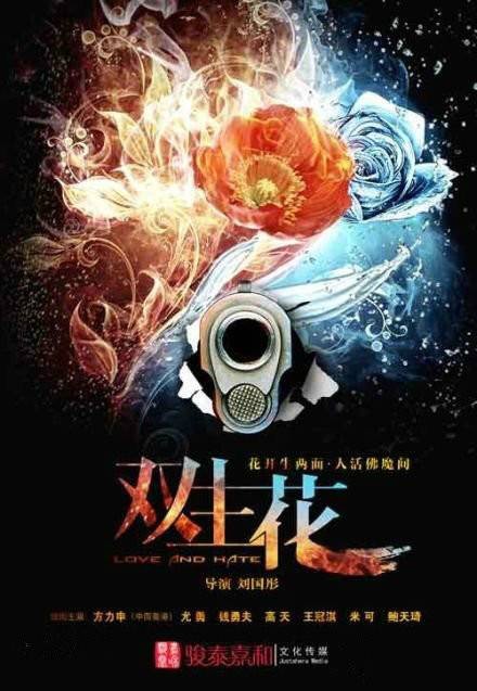 双生花（2014年刘国彤执导的电视剧）