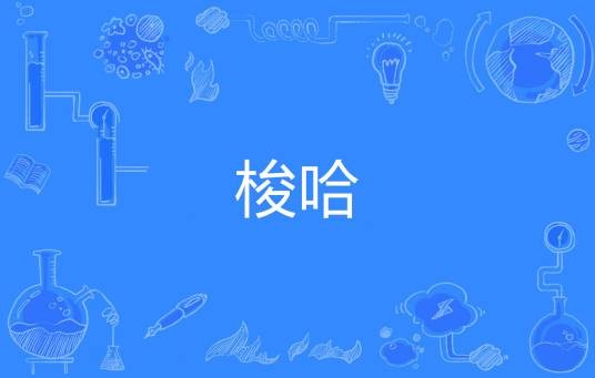 梭哈（网络流行词）