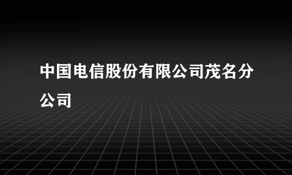 中国电信股份有限公司茂名分公司