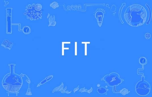 FIT（英文单词）