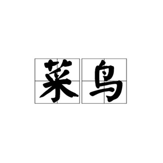 菜鸟（网络词汇）