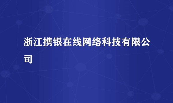 浙江携银在线网络科技有限公司