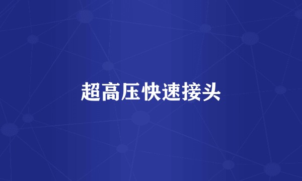 超高压快速接头