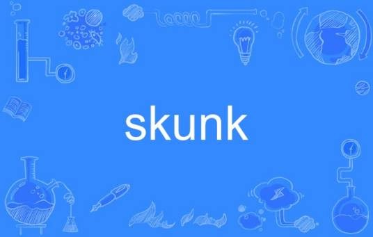 skunk（英语单词）