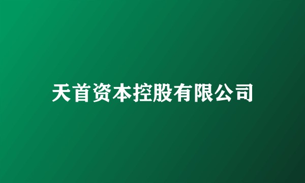天首资本控股有限公司