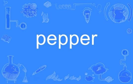 pepper（英语单词）