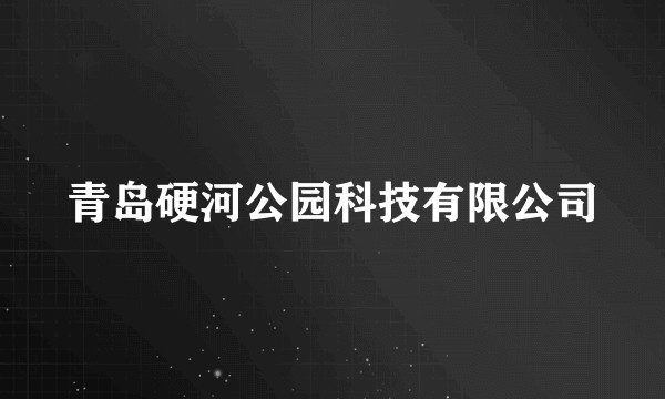 青岛硬河公园科技有限公司