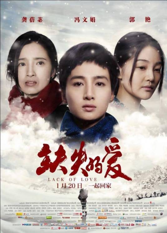 缺失的爱(2017年曾光永执导的剧情电影)