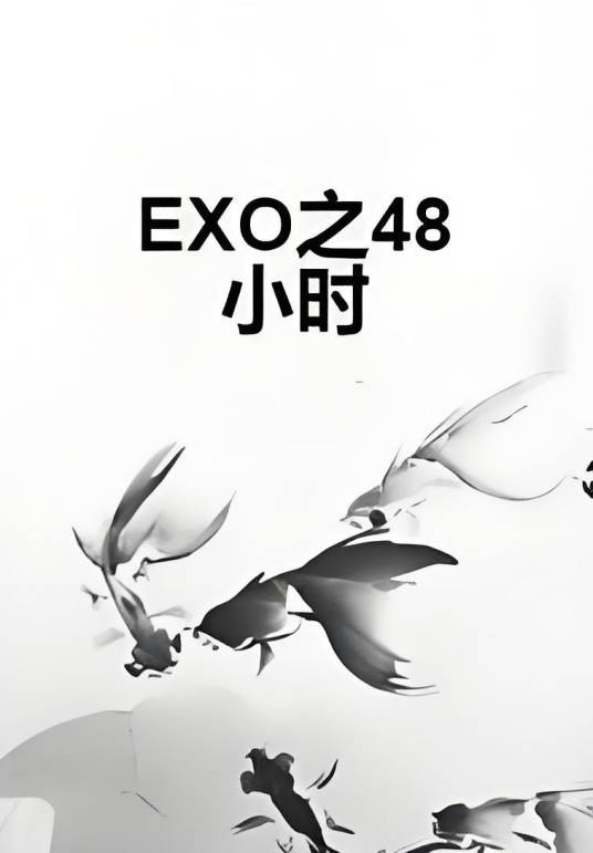 EXO之48小时