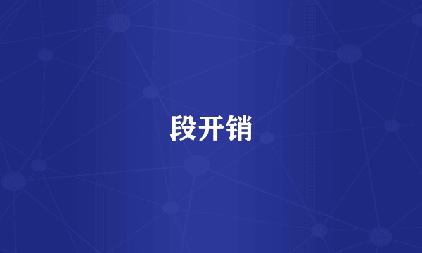 段开销