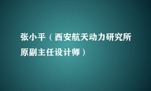 张小平（西安航天动力研究所原副主任设计师）