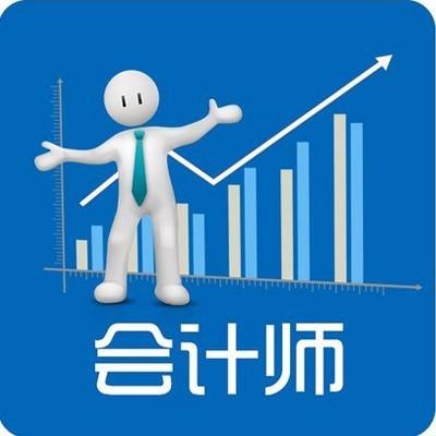 会计师(职业)