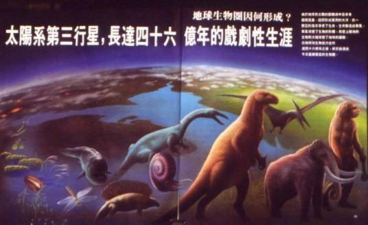 生命史