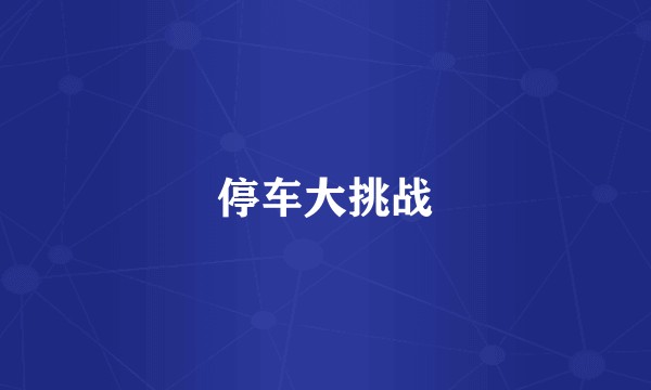 停车大挑战