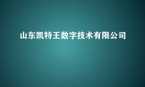 山东凯特王数字技术有限公司