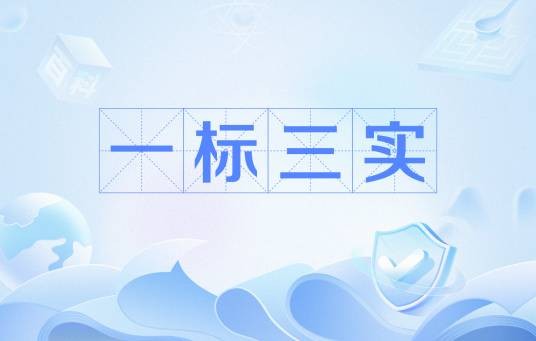 一标三实