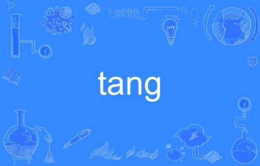 tang（英语单词）