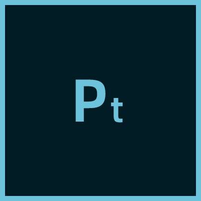 PT(像素单位)
