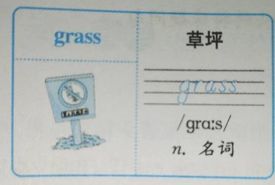 grass