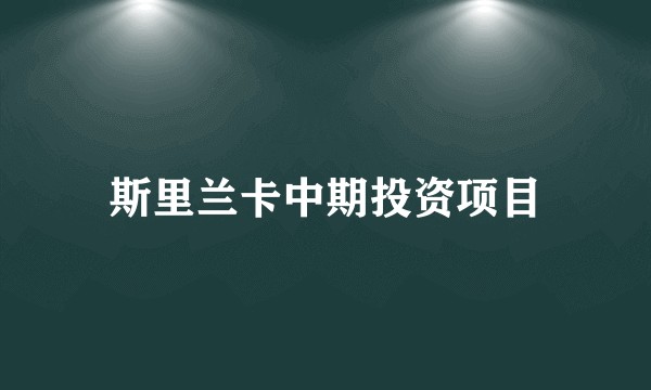 斯里兰卡中期投资项目