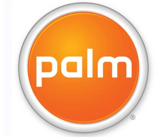 PALM（手持设置形式）