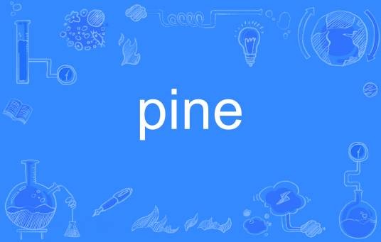 pine（英语单词）
