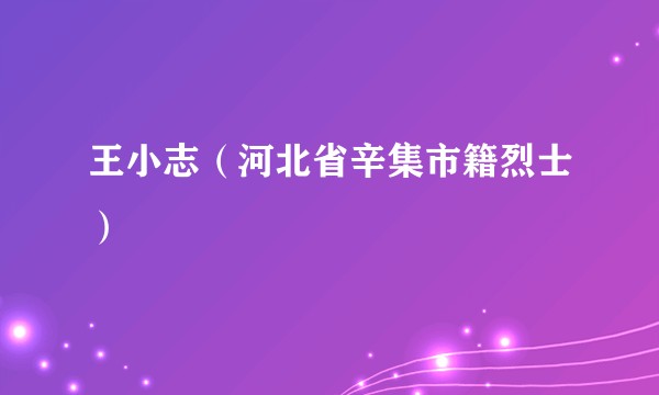 王小志(河北省辛集市籍烈士)