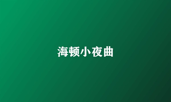 海顿小夜曲