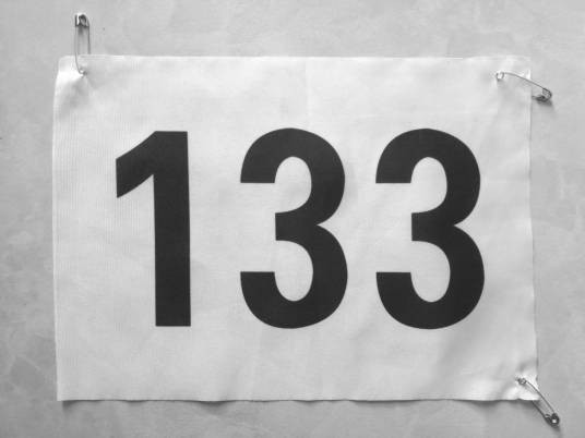 133（自然数之一）