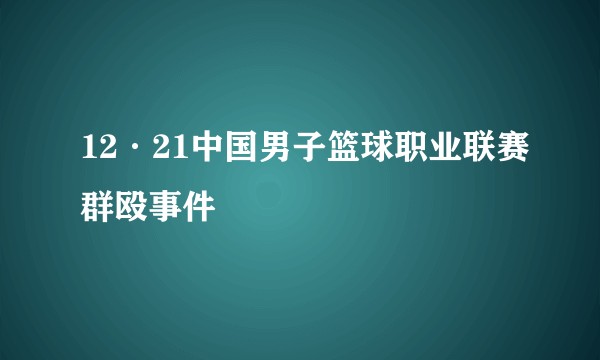 12·21中国男子篮球职业联赛群殴事件