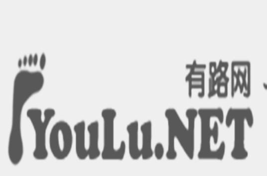 有路网