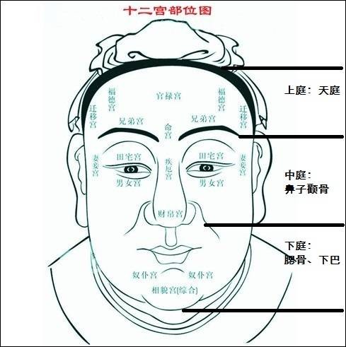 天庭（面相学名词）